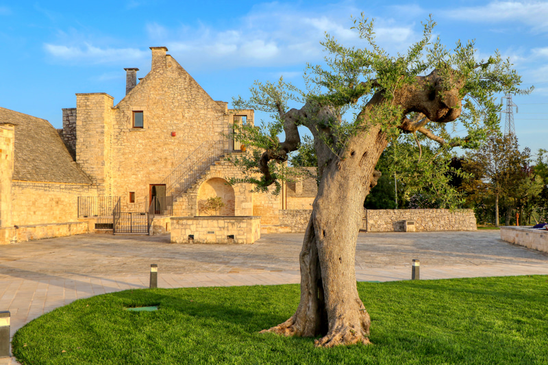 Agriturismi Top in Puglia