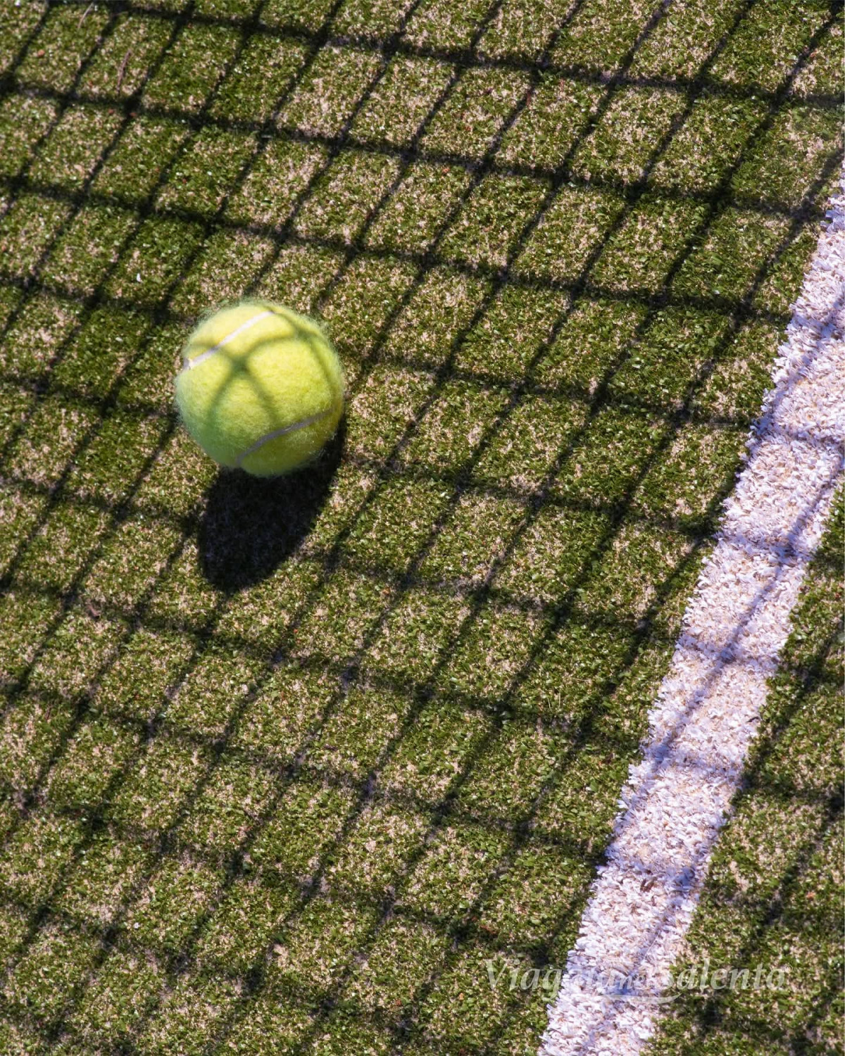 Fruit Village Torcito Sport Village Cannole