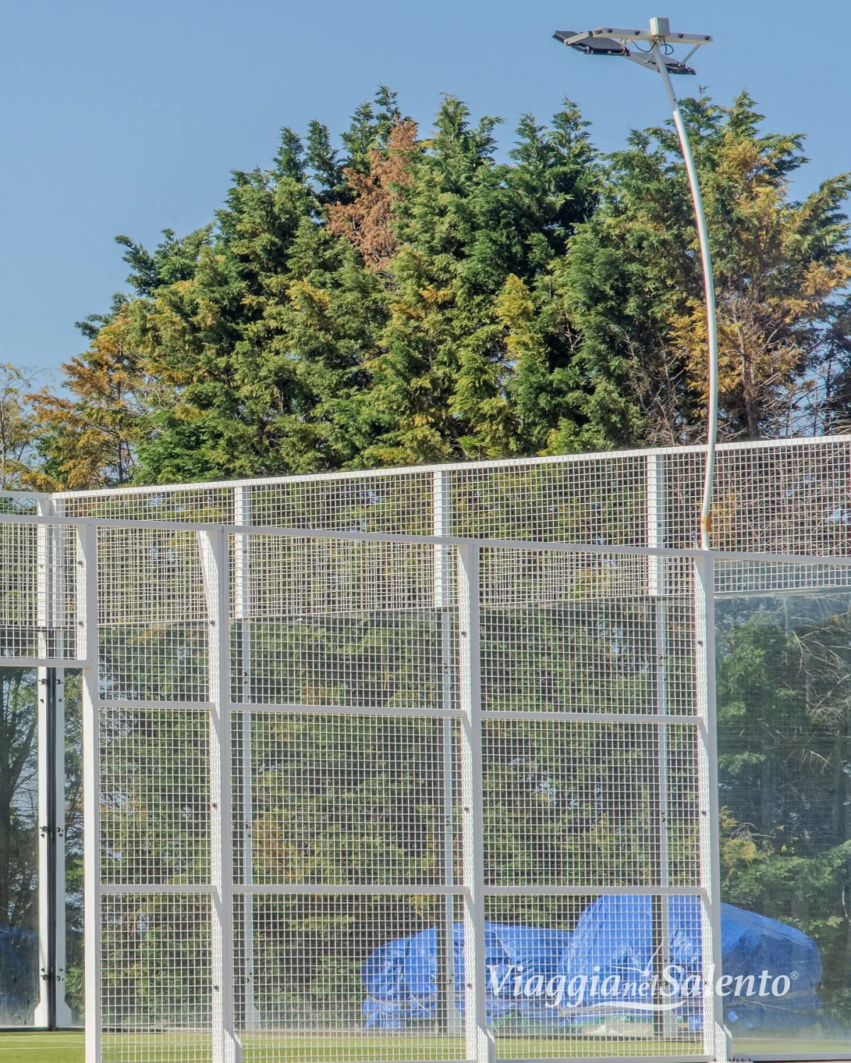 Fruit Village Torcito Sport Village Cannole