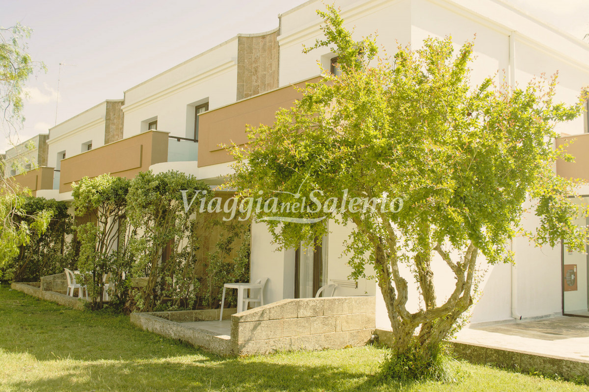 Fruit Village Torcito Sport Village Cannole