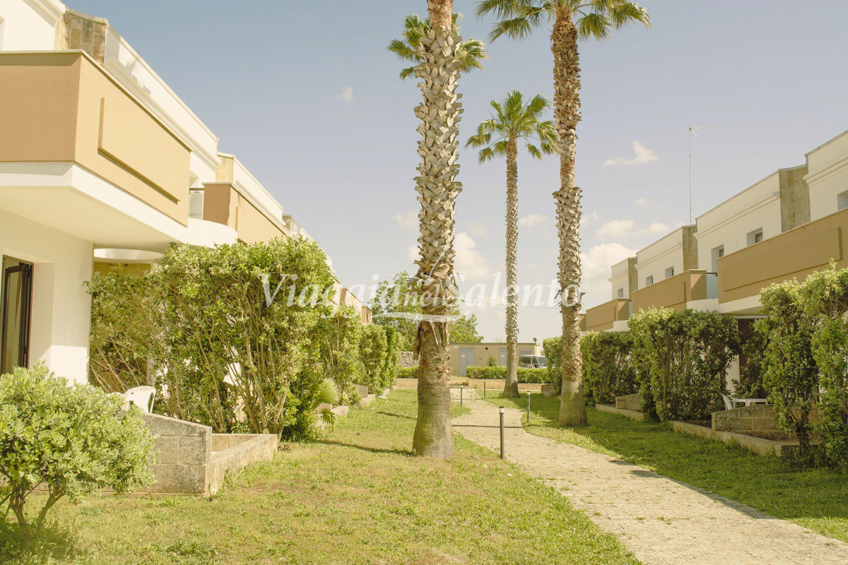 Fruit Village Torcito Sport Village Cannole