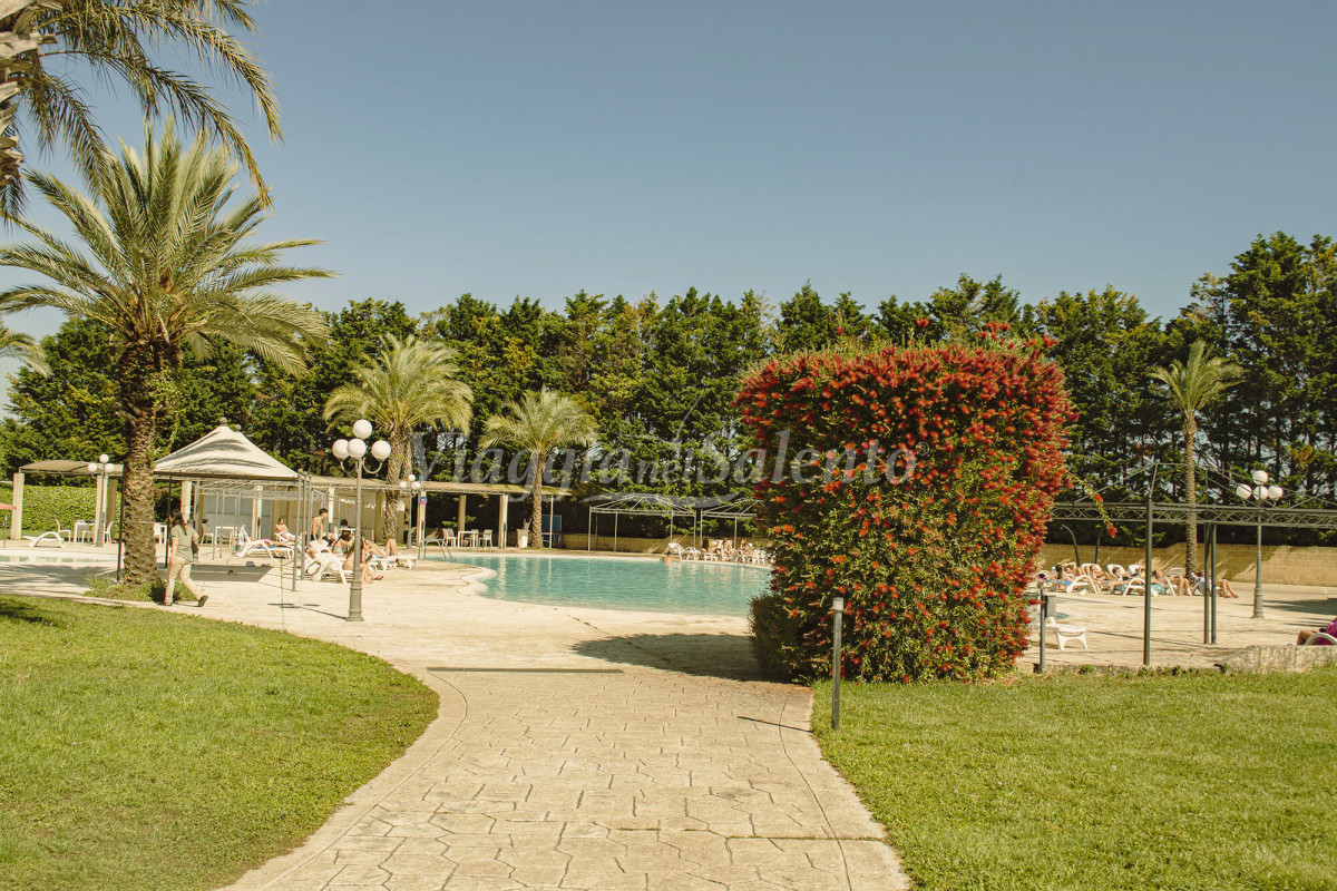 Fruit Village Torcito Sport Village Cannole