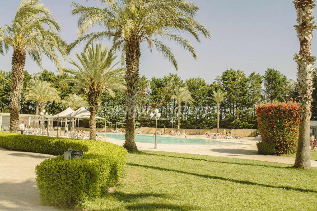 Fruit Village Torcito Sport Village Cannole