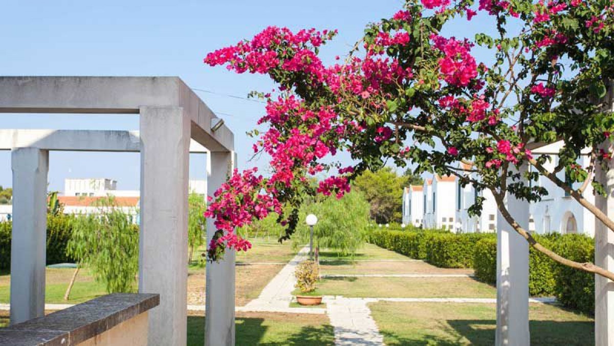 Blumare Residence Frassanito