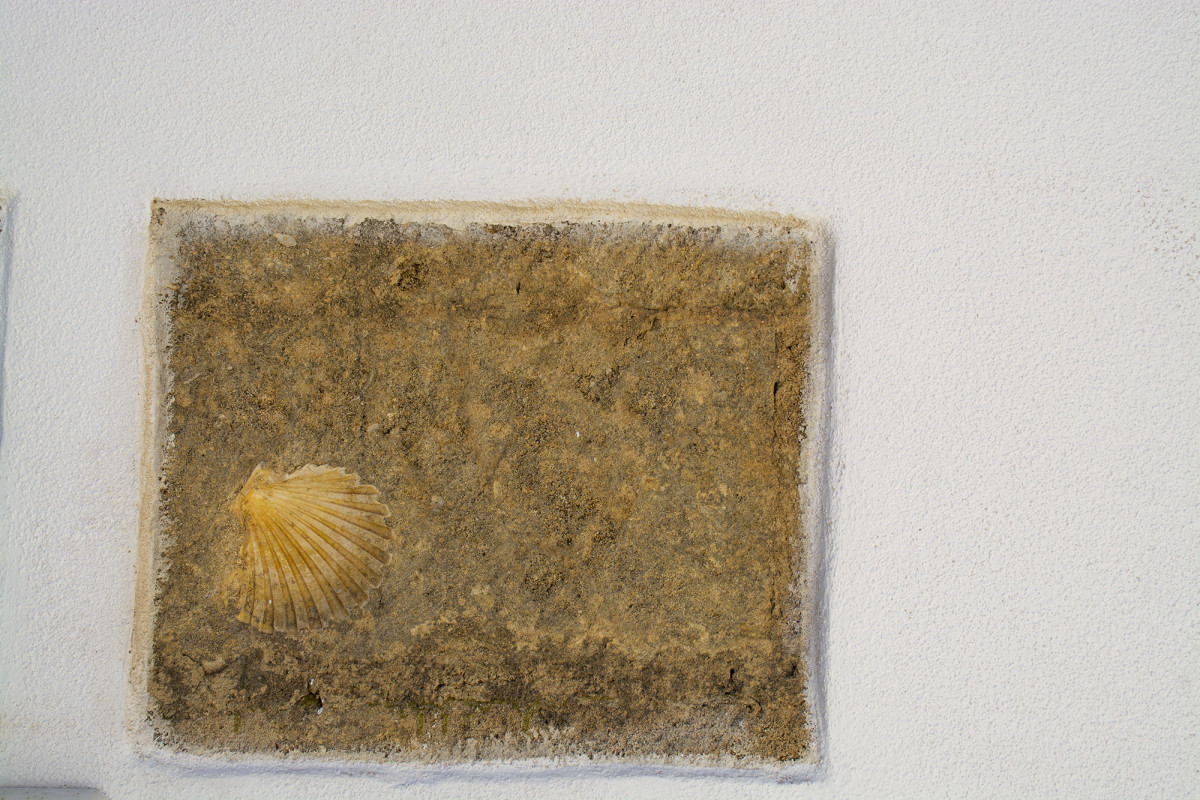 Casa Vacanze in Affitto a Torre San Giovanni