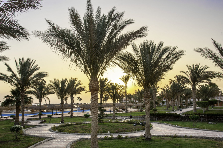 Nicolaus Club Three Corners Sea Beach Resort