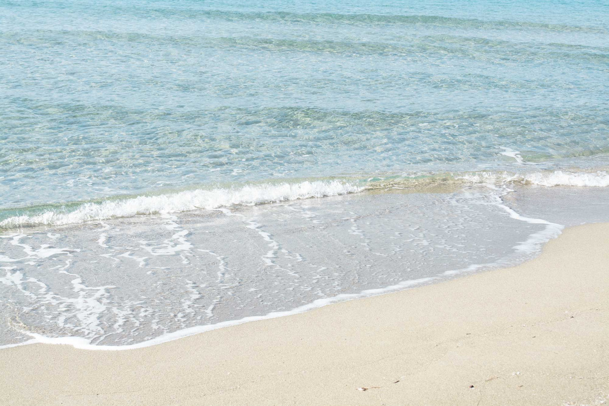 Casa Vacanze con Giardino Torre Mozza
