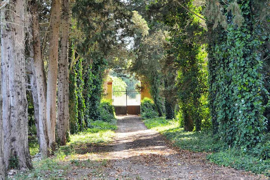 Masseria del Bosco di Makyva