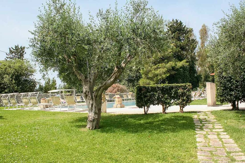 Masseria del Bosco di Makyva