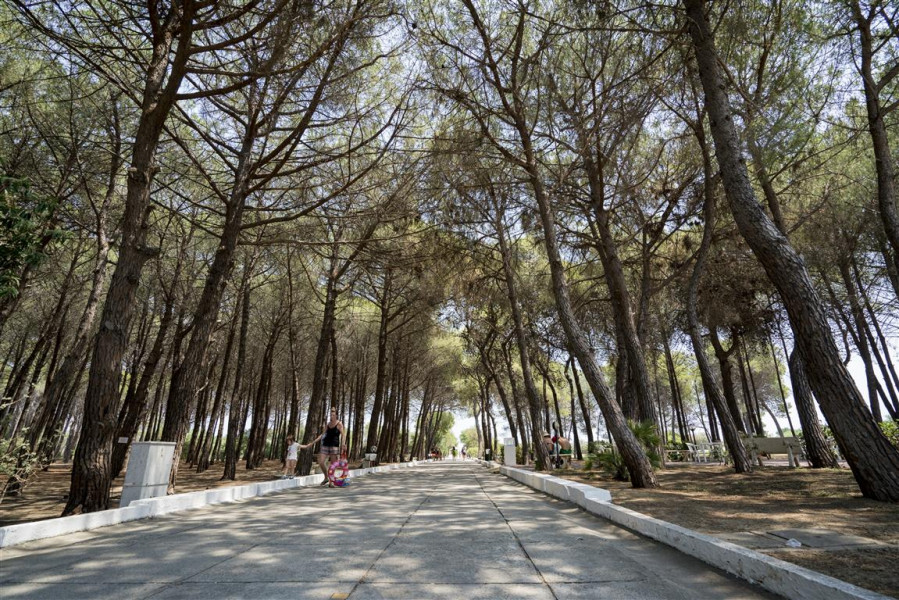 Nicolaus Club Bagamoyo Resort