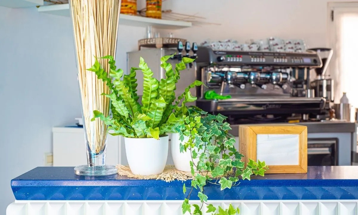 Pietrablu Resort Spa Polignano a Mare