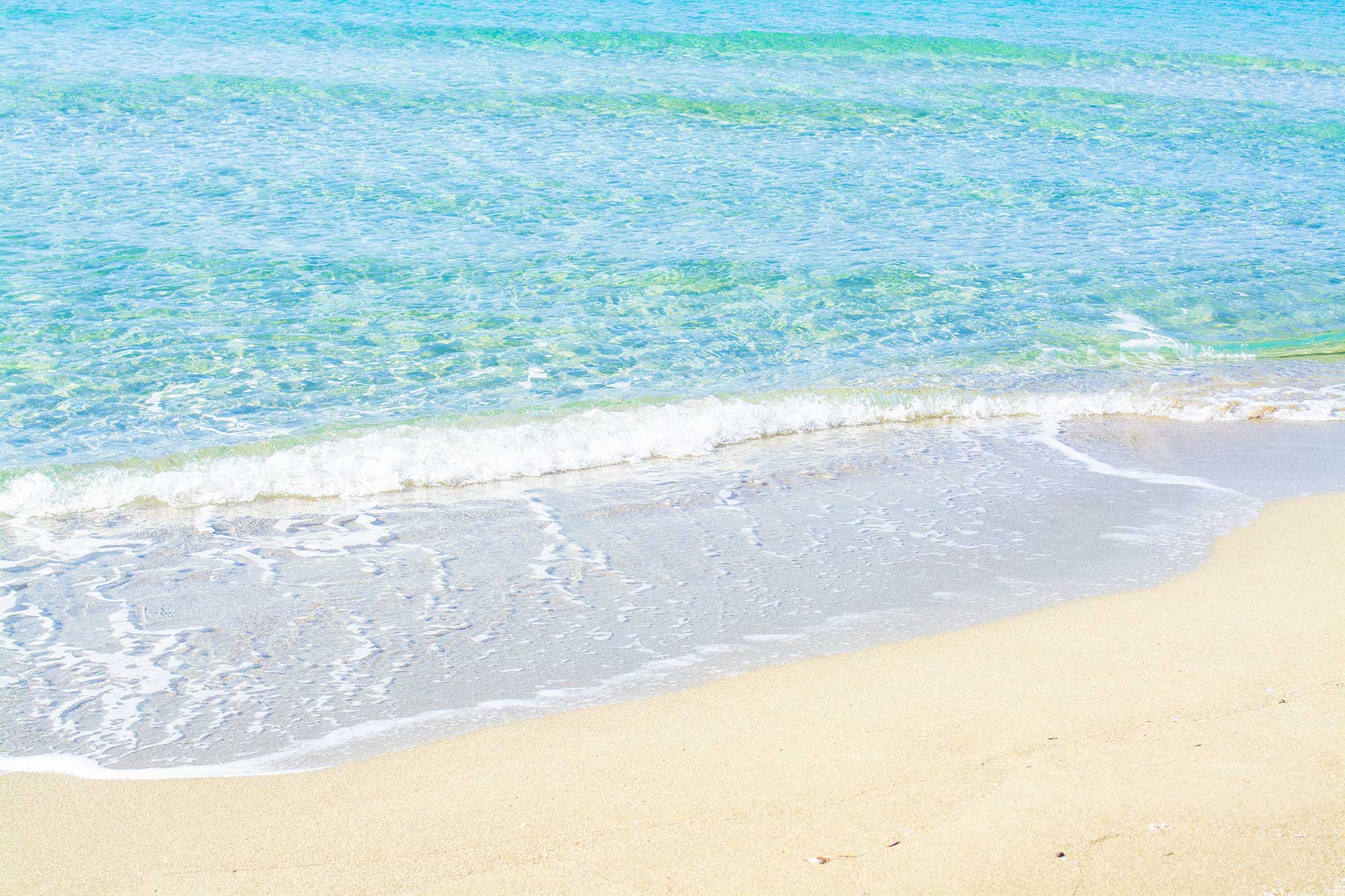 Casa Vacanze Affitto Torre Mozza